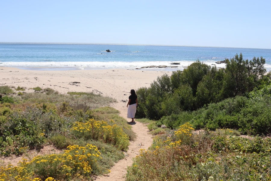 0 Bedroom Property for Sale in Steenbergs Cove Western Cape